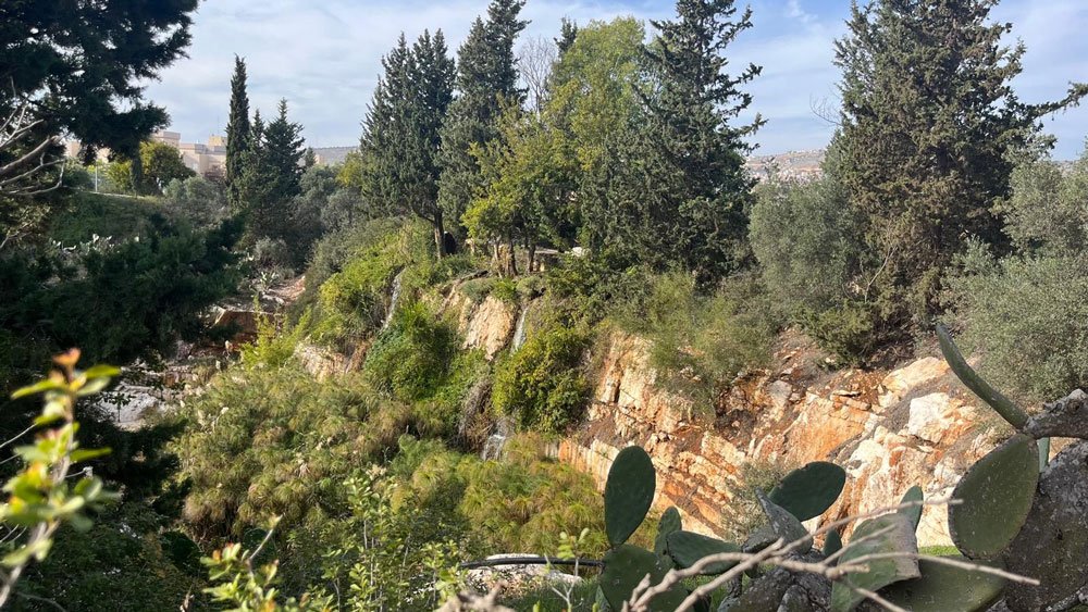 Beth Juliana · חיי הקהילה